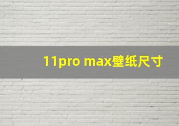 11pro max壁纸尺寸